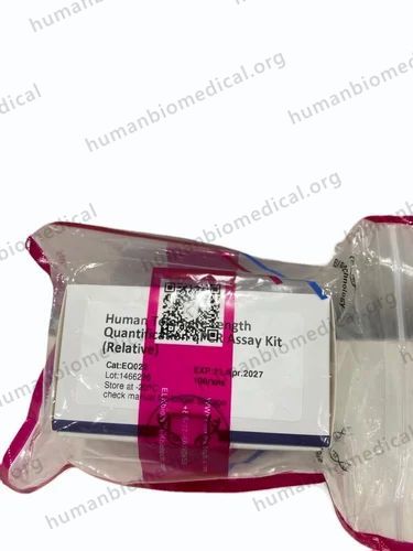 Human Telomere Length Quantification qPCR Assay Kit - EQ022, 100Tests