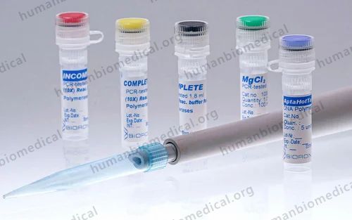 Hotstart DNA Polymerase Mastermix (2 U/uL, 500 U)