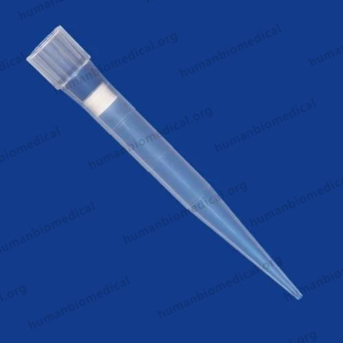 Plastic Pointed tip Eppendorf Pipette tips, For Laboratory, Capacity: 0.2 Ul - 5000 Ul