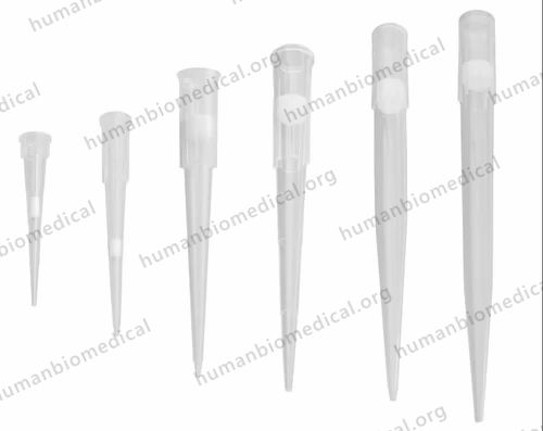 Disposable Pipette Tip