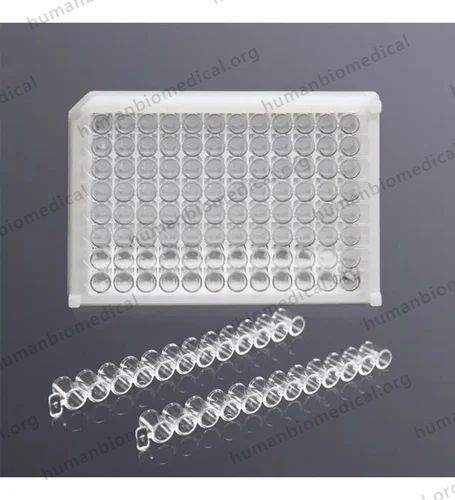 Elisa 96 Well Plate