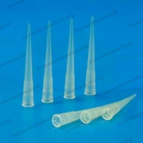 Standard Universal  Tips