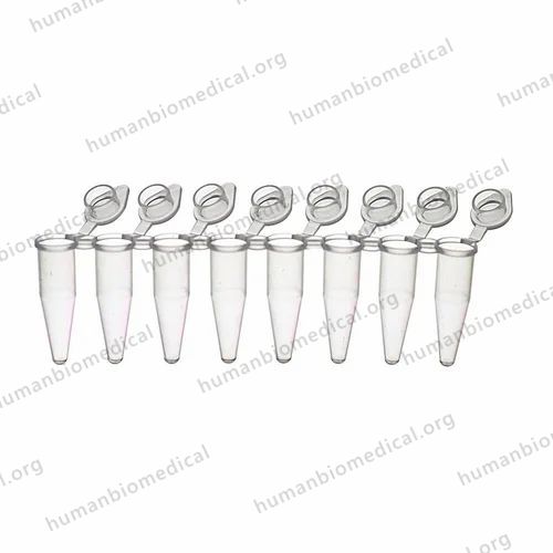 Strip 0.2 ml