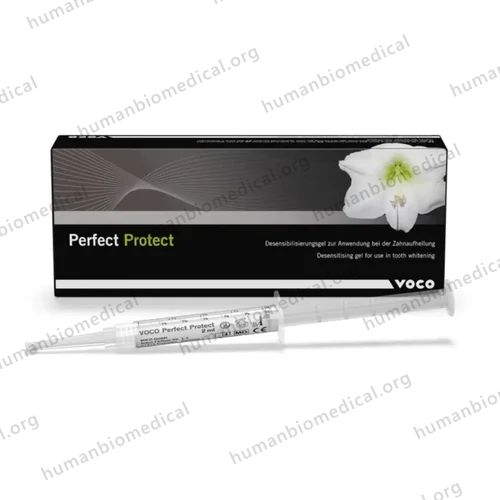 Voco Perfect Bleach Whitening Gel