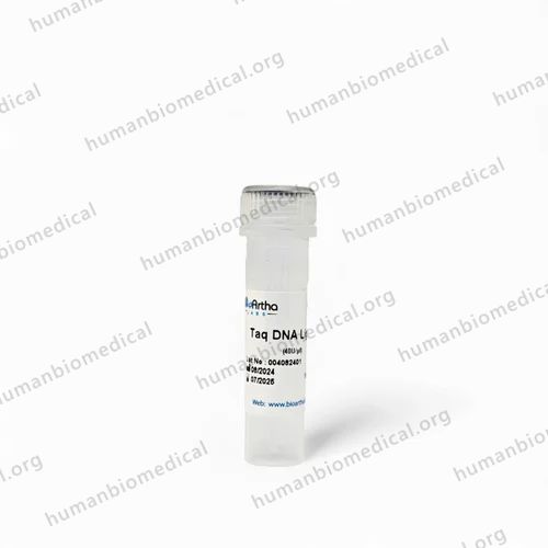 Taq Dna Polymerase, 250U