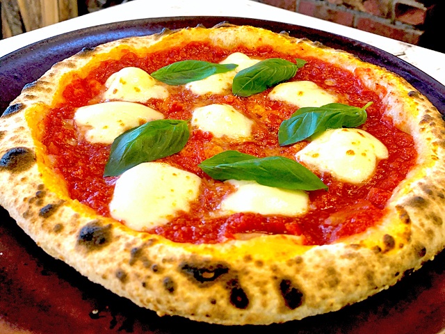 本日のおすすめ