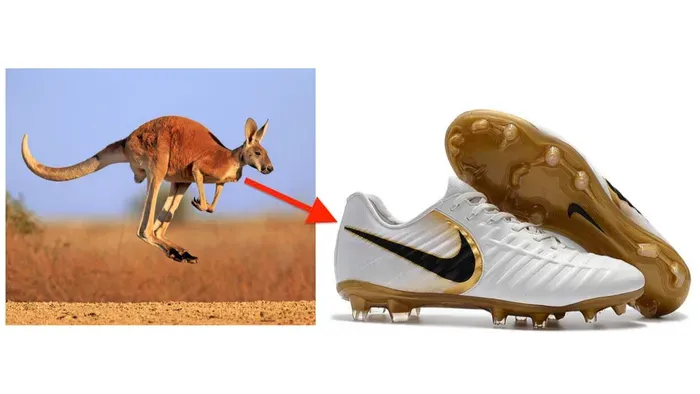 Nike to replace kangaroo leather with plant-based leather