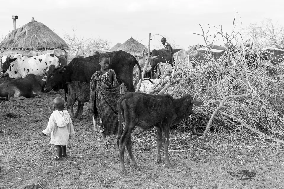 Tanzania. Sinfonía de silencio. Masais III