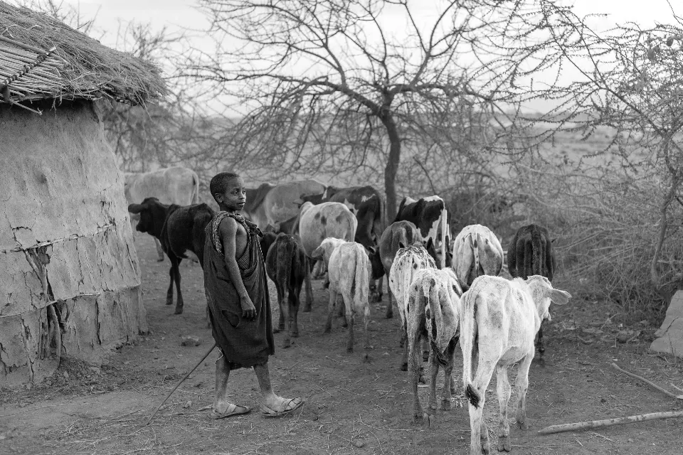 Tanzania. Sinfonía de silencio. Masais III