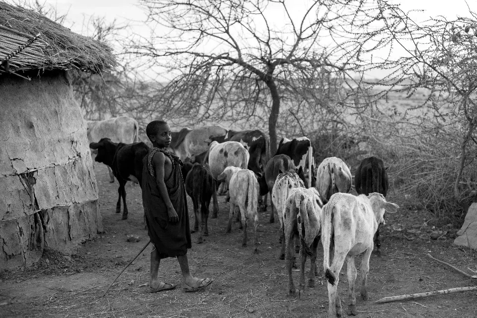 Tanzania. Sinfonía de silencio. Masais III