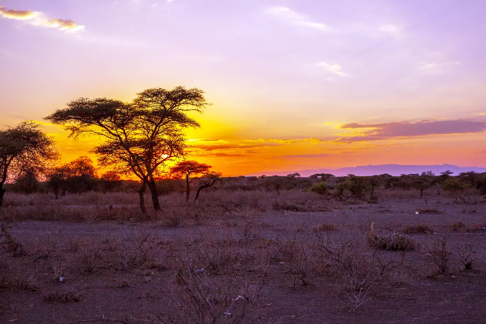 Tanzania. Sinfonía de silencio. Masais III