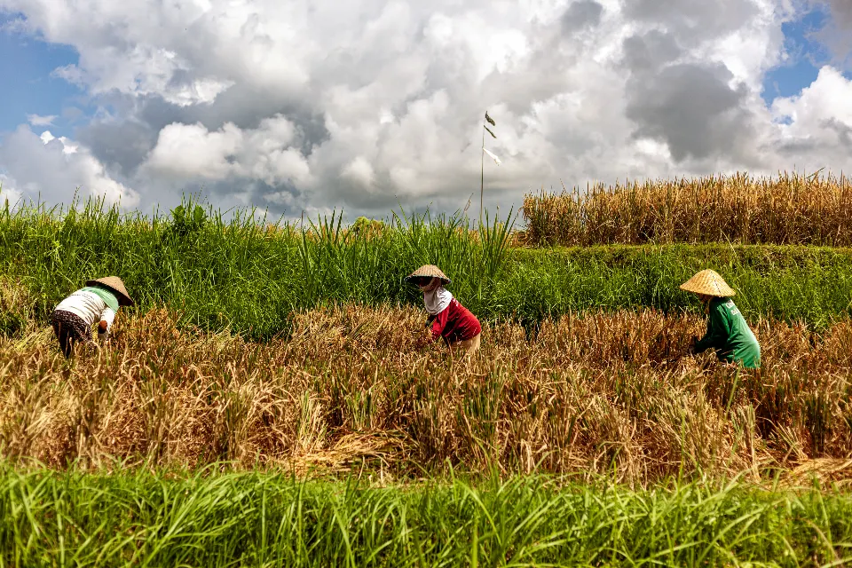 Bali. La isla de los dioses.