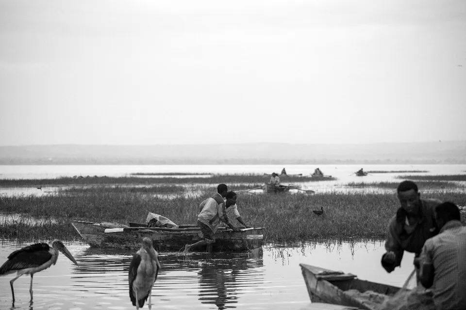 Etiopía. Lago Awassa. Fishermen