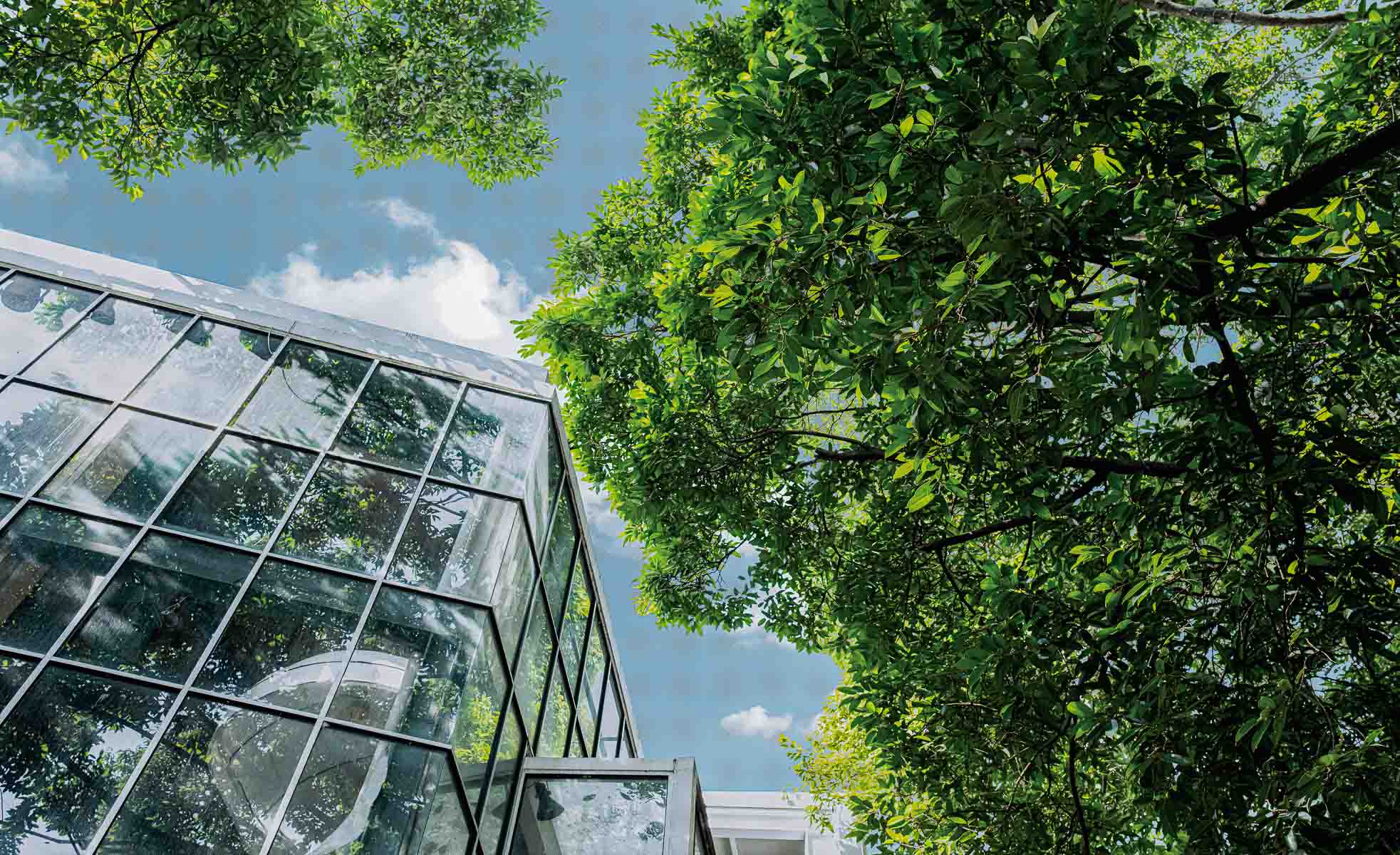 Energy-Efficient Glass