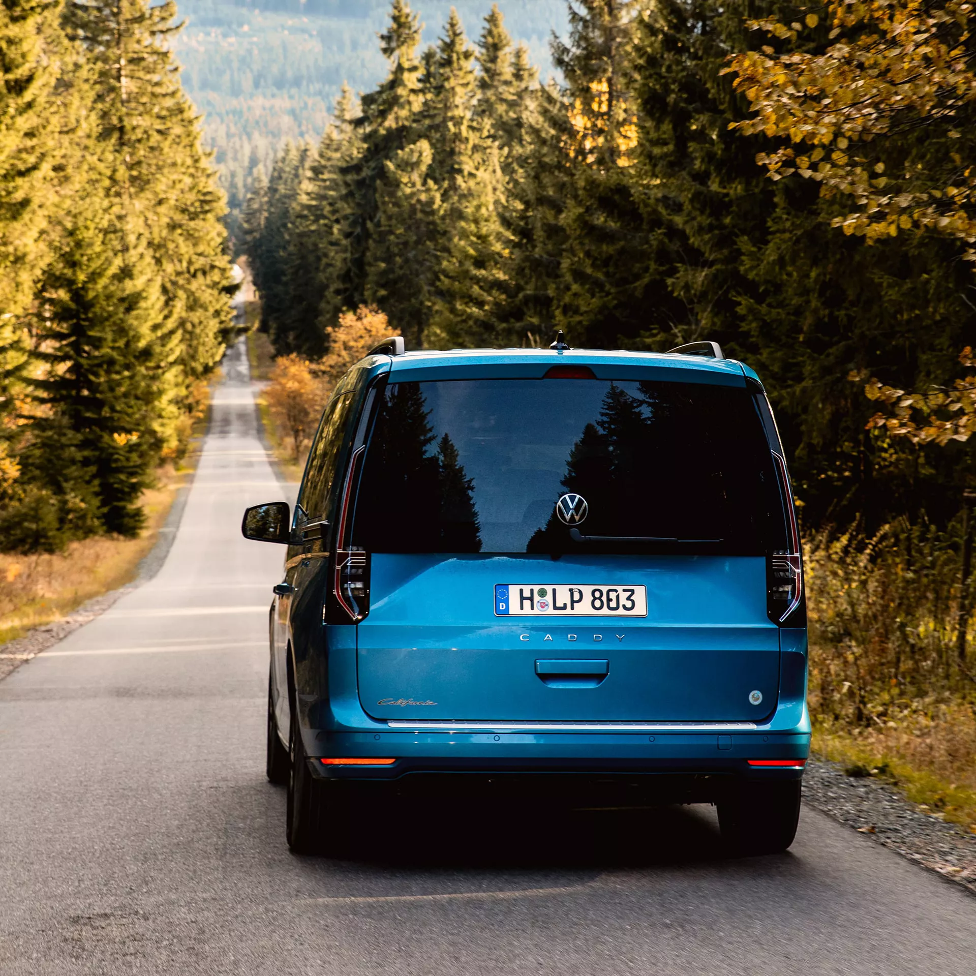 Un furgone blu su una strada tra gli alberi.
