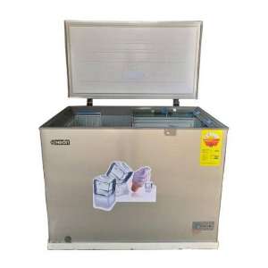 Congélateur Neon CF 301