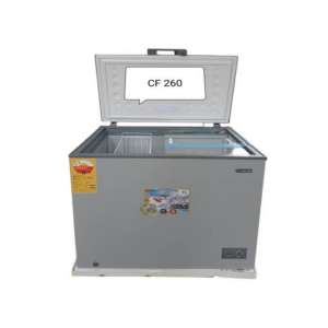 Congélateur NEON CF-260