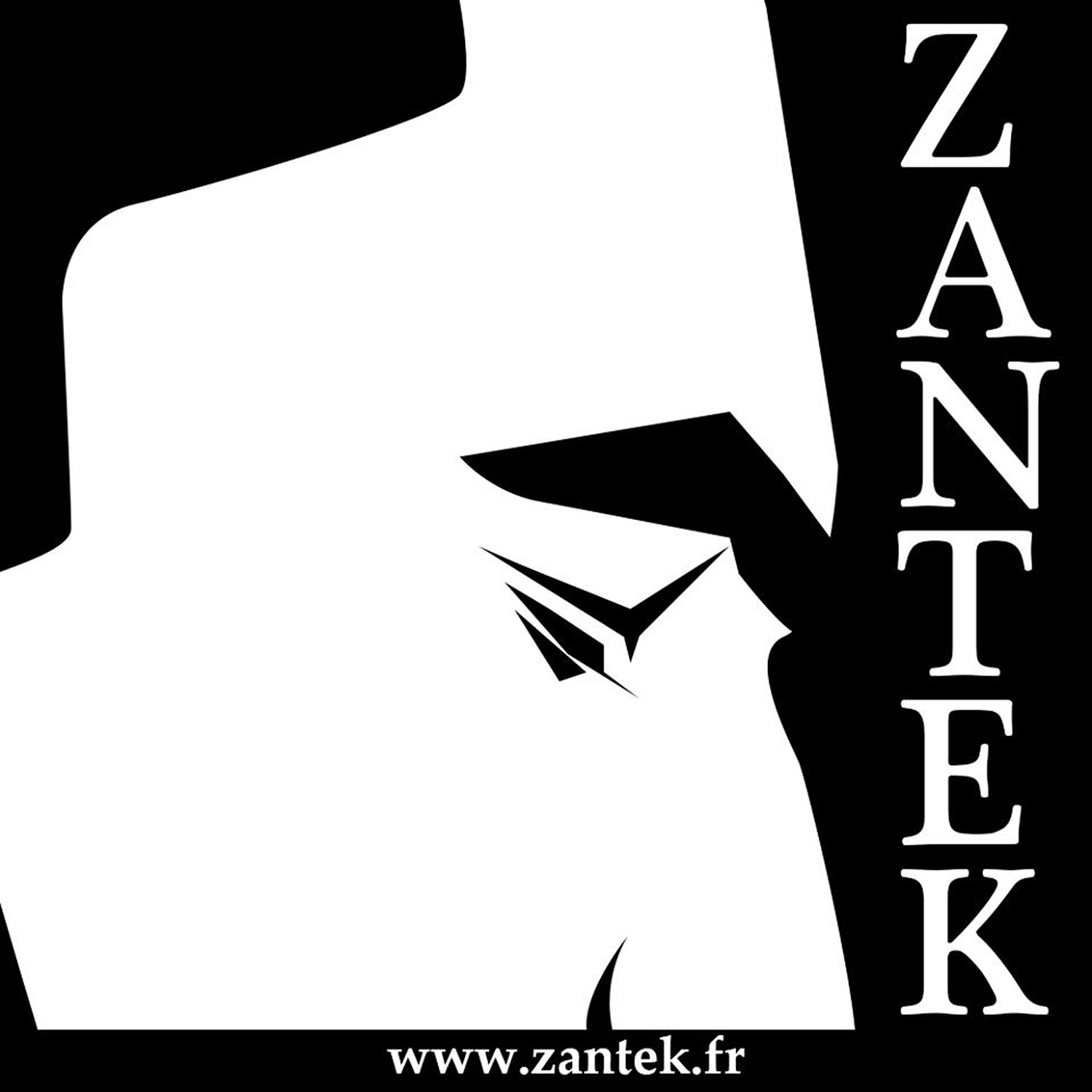 Zantek, groupe de Saint-Malo