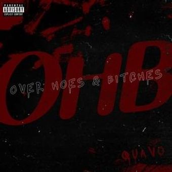 Over Hoes & Bitches