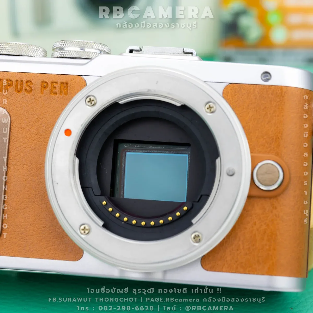 OLYMPUS PEN E-PL8 + 14-42 F3.5-5.6 EZ ED MSC รูปที่ 9