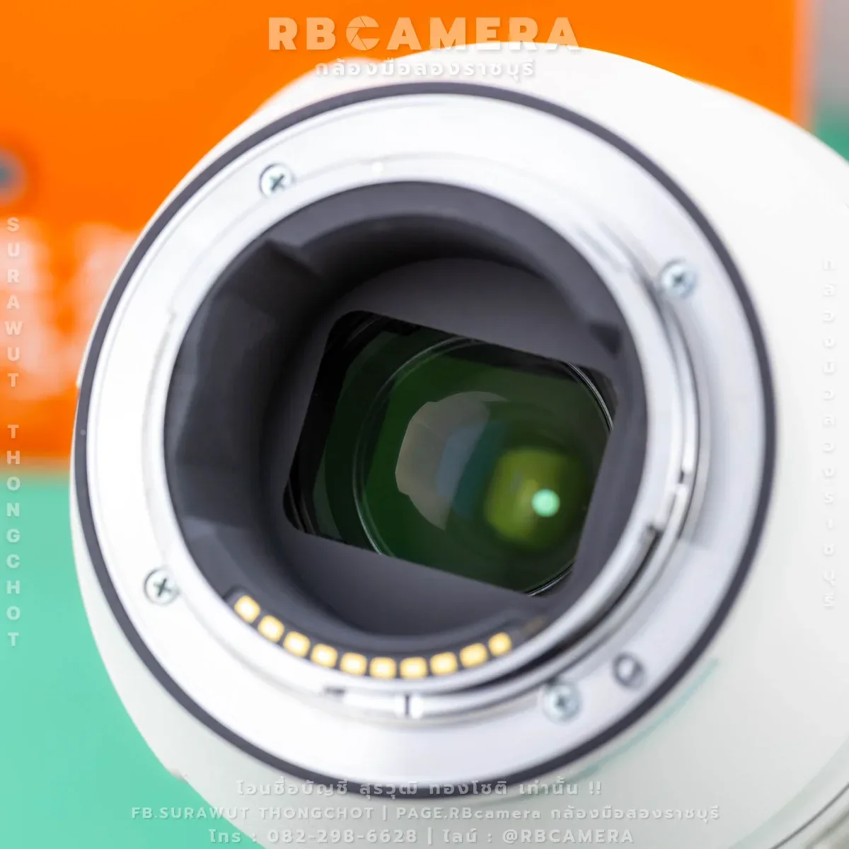 SONY 200-600 F5.6-6.3 G OSS รูปที่ 10