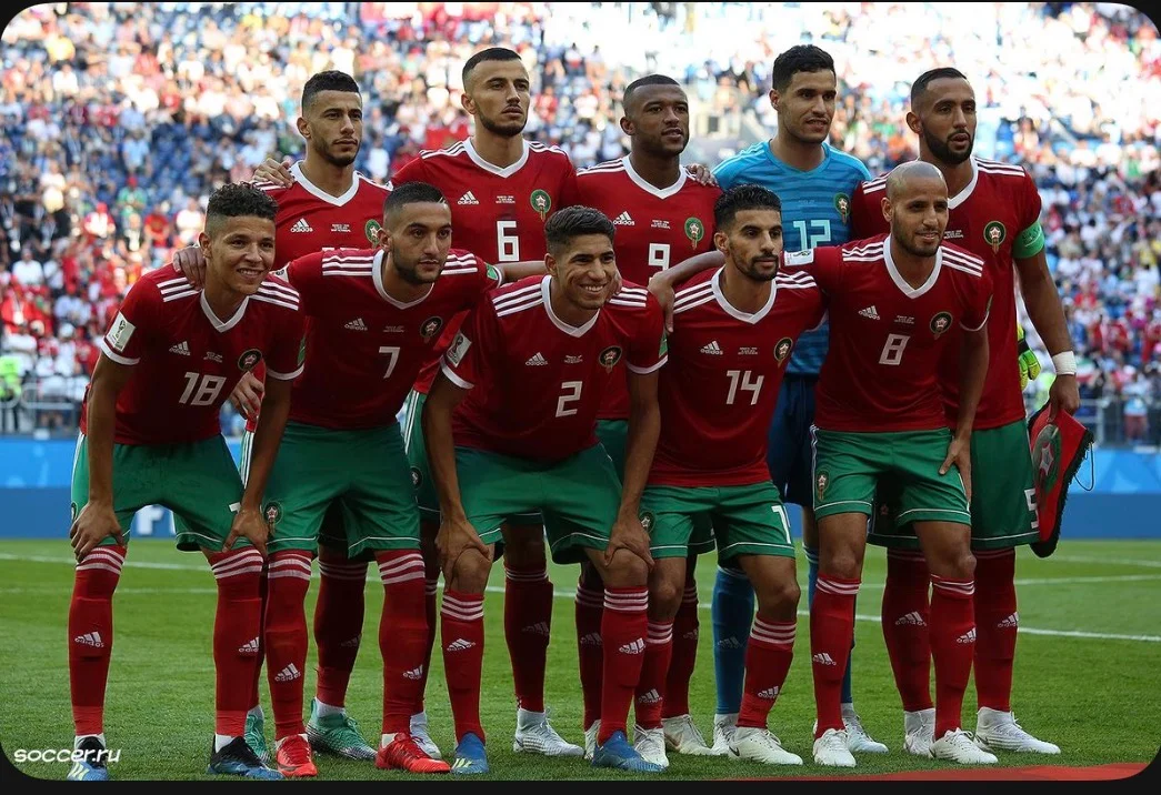 The Atlas Lions of Morocco