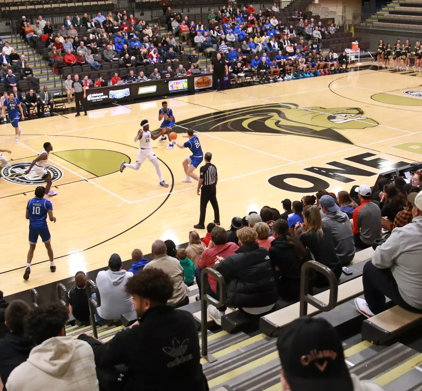 Hyland Arena - Image 1