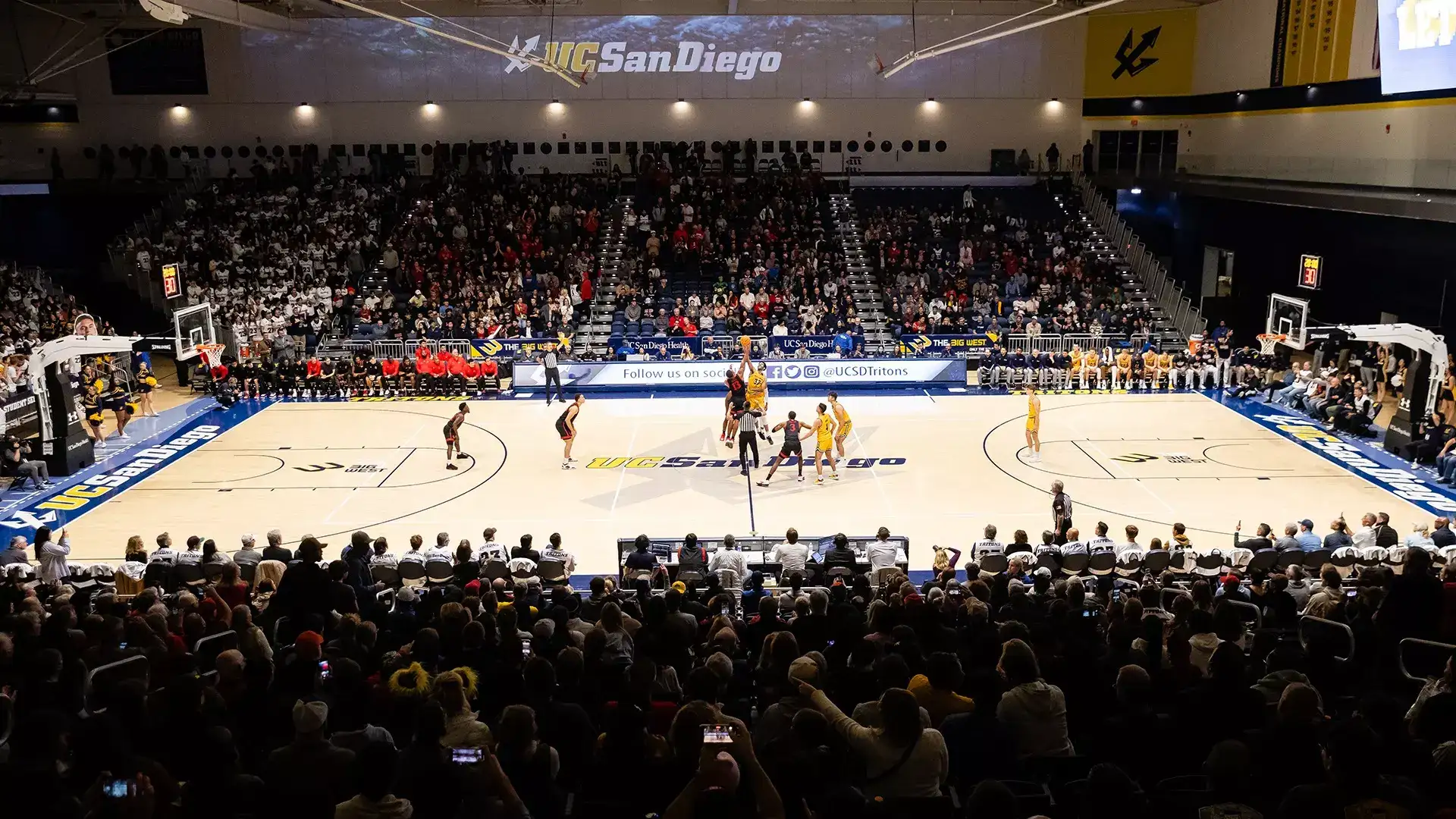 LionTree Arena - Image 1