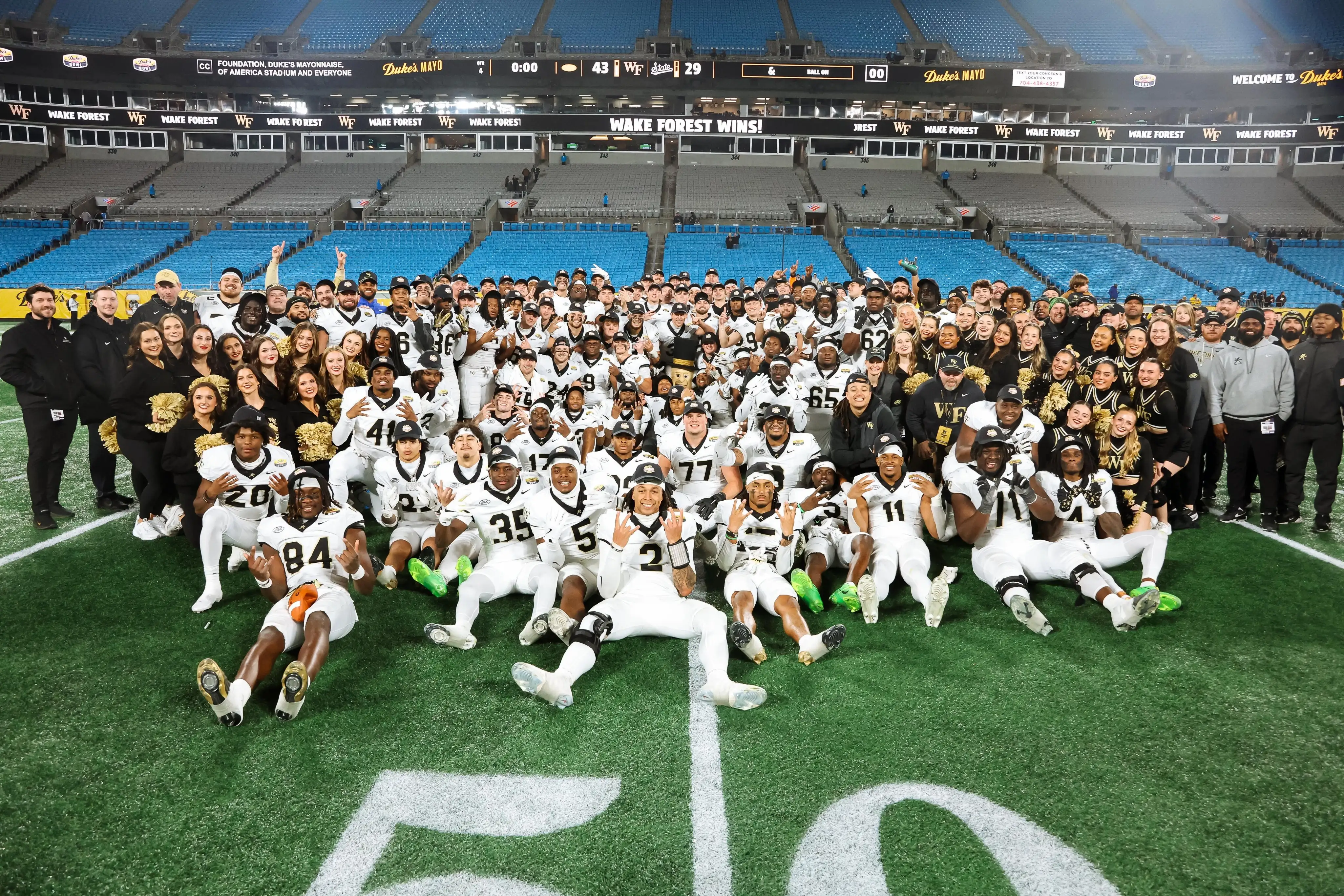 Bank of America Stadium - Image 4