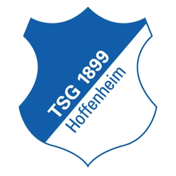 TSG Hoffenheim image