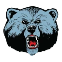 Blue Bears