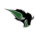 Bison