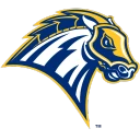 Chargers