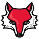 Red Foxes