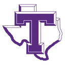 Texans team logo