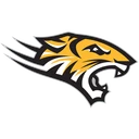 Tigers team logo