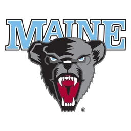 Black Bears image