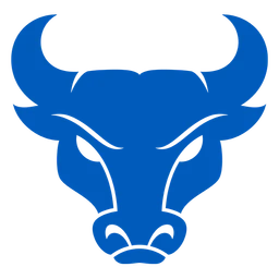 Bulls image