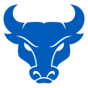 Bulls team logo