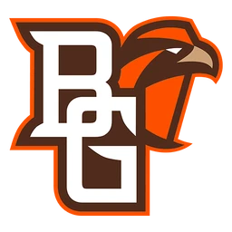 Falcons image