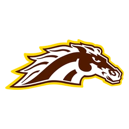 Broncos image