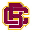 Wildcats team logo