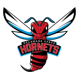 Hornets image