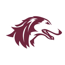 Salukis image