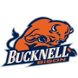 Bison image