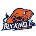 Bison team logo