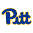 Panthers team logo