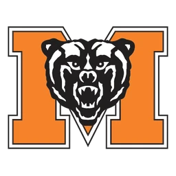 Bears image
