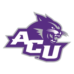 Wildcats image