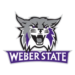 Wildcats image